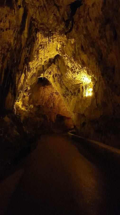 El Balcon Del Sella Daire Onís Dış mekan fotoğraf