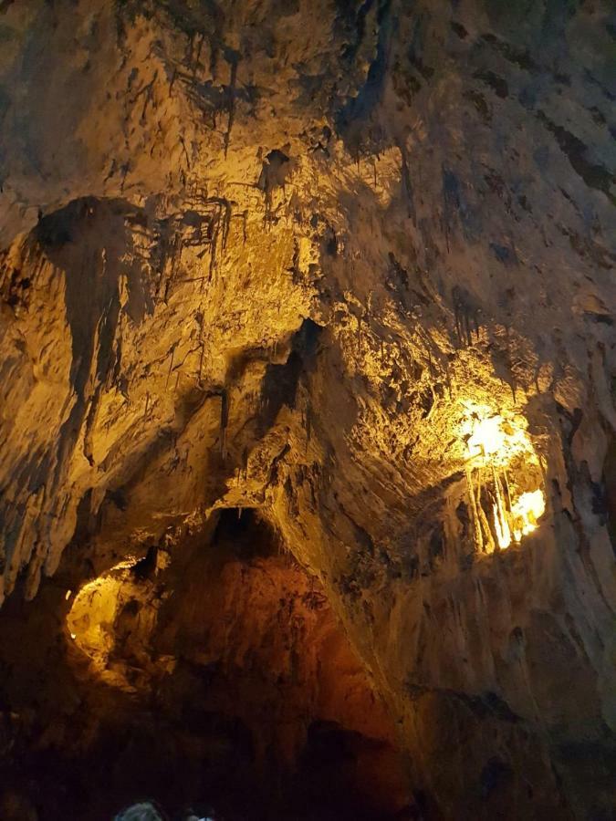 El Balcon Del Sella Daire Onís Dış mekan fotoğraf